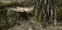 4K Experience: Ex-DICE-Entwickler zeigt, was die Unreal Engine 4 kann (6)