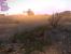 Tuxedo XC1506: Arma 3 angespielt unter Linux