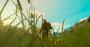 The Witcher 3 Blood and Wine (DCI-4K resized auf 1620p) (13)