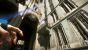 Bildmaertial zu Dishonored 2 von der E3 (13)