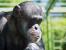 Update Juni 2016: Foto von der_yappi