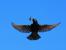Update Juni 2016: Foto von Blende8