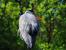 Update Juni 2016: Foto von der_yappi
