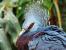 Update Juni 2016: Foto von der_yappi
