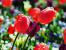 Update Juni 2016: Foto von der_yappi