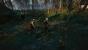 The Witcher 3 mit PCGH-Screenshot-Setting (17)