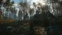 The Witcher 3 mit PCGH-Screenshot-Setting (19)