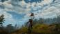 The Witcher 3 mit PCGH-Screenshot-Setting (20)