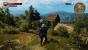 Witcher 3 HOCH