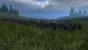 Total War: Warhammer (17)