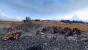 Total War: Warhammer (20)