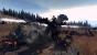Total War: Warhammer (24)