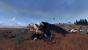 Total War: Warhammer (27)