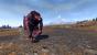 Total War: Warhammer (30)