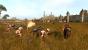 Total War: Warhammer (47)
