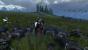 Total War: Warhammer (10)