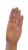 Bild 047 (Name nicht bekannt)