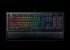 Razer Ornata Chroma (2)