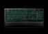 Razer Ornata (1)