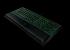 Razer Ornata (3)