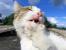 Update Oktober 2016: Foto von Softy