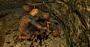 TES 5 Skyrim Special Edition im PCGH-Techniktest (Bilder: Originalauflösng 6.144 × 3.240 mittels DSR-Downsampling, resized auf 2.560 × 1.350 Pixel) (10)