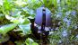 G.Skill Ripjaws MX780 RGB Laser Gaming Mouse (10)