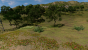 Ambient Occlusion Aus
