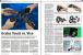 PCGH #196 (02- 2017): Infrastruktur 10
