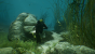 UHD-Screenshots von Uncharted 4 (2)