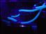 PC von w00tification