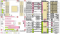 Angebliches AMD-Blockdiagramm: Snowy Owl mit X390-Chipsatz
