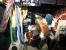 Update vom 13.03.2017: Bild von Poulton