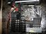 Update vom 13.03.2017: Bild von Poulton