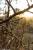 Update April 2017: Foto von totovo