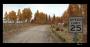 Dirt 4 im Techniktest (6)
