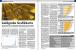 Grafikkarten 04 (PC Games Hardware #202 Ausgabe 08-2017)
