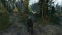 The-Witcher 3 HD-Reworked 4.6 - 01 - modded