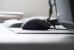 Razer Basilisk (2)