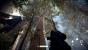 <strong>Star Wars Battlefront 2 - Erste Technik-Eindrücke und Benchmarks mit Early Access</strong> (11)