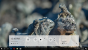 Die neue Game Bar von Windows 10 soll es sowohl in dunklem als auch hellem Design geben.