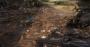 Hunt: Showdown von Crytek - Erste Technik-Eindrücke aus der Closed Alpha (Bilder: 4.096 × 2.160 mit maximalen Details, downsampled) (33)