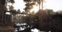 Hunt: Showdown von Crytek - Erste Technik-Eindrücke aus der Closed Alpha (Bilder: 4.096 × 2.160 mit maximalen Details, downsampled) (39)