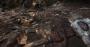 Hunt: Showdown von Crytek - Erste Technik-Eindrücke aus der Closed Alpha (Bilder: 4.096 × 2.160 mit maximalen Details, downsampled) (56)