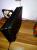 Playstation 4 Pro: Silent-Mod von snapstar123