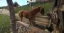 Kingdom Come Deliverance FINAL im Techniktest (Bilder: 4.096 × 2.160 downsampled) (11)