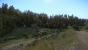 Kingdom Come Deliverance - Details - 11 - Mittel