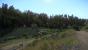 Kingdom Come Deliverance - Details - 12 - Hoch