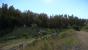 Kingdom Come Deliverance - Details - 13 - Sehr hoch