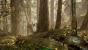 Warhammer Vermintide 2 (36)
